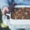 Baked carrot cake oatmeal with walnuts and grated carrots on top.